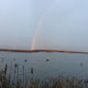 Meet your Posher, Gene